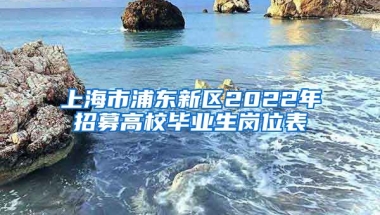 上海市浦东新区2022年招募高校毕业生岗位表