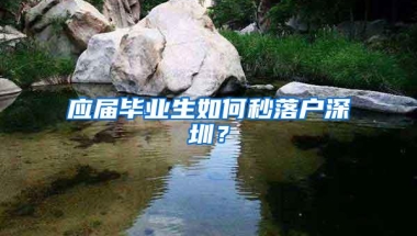 应届毕业生如何秒落户深圳？