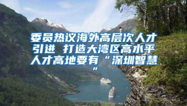 委员热议海外高层次人才引进 打造大湾区高水平人才高地要有“深圳智慧”