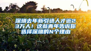 深圳去年新引进人才近23万人！这些青年告诉你选择深圳的N个理由