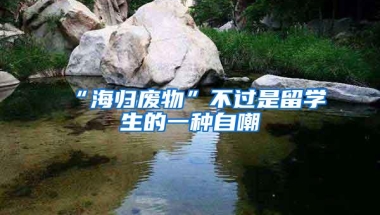 “海归废物”不过是留学生的一种自嘲