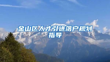 金山区人才引进落户规划指导