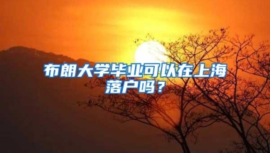 布朗大学毕业可以在上海落户吗？