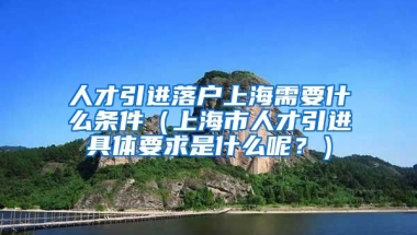 人才引进落户上海需要什么条件（上海市人才引进具体要求是什么呢？）