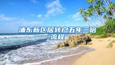 浦东新区居转户五年三倍流程