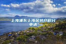 上海浦东上海居转户积分申请