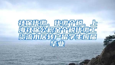 社保代缴、代缴个税、上海社保公积金个税代缴工资流水居转户留学生应届毕业