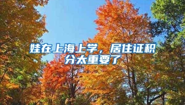 娃在上海上学，居住证积分太重要了