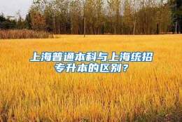 上海普通本科与上海统招专升本的区别？