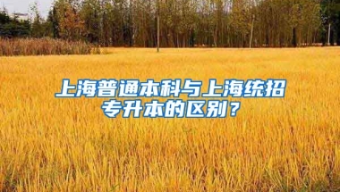 上海普通本科与上海统招专升本的区别？