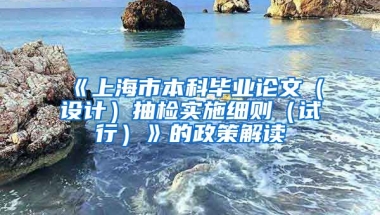 《上海市本科毕业论文（设计）抽检实施细则（试行）》的政策解读