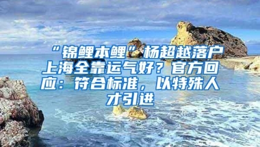 “锦鲤本鲤”杨超越落户上海全靠运气好？官方回应：符合标准，以特殊人才引进