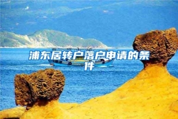 浦东居转户落户申请的条件