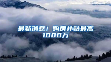 最新消息！购房补贴最高1000万