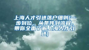 上海人才引进落户细则(一步到位，从条件到流程，带你全面了解上海人才引进)