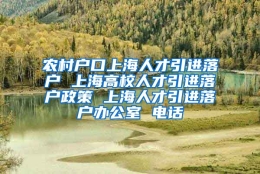 农村户口上海人才引进落户 上海高校人才引进落户政策 上海人才引进落户办公室 电话