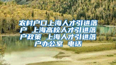 农村户口上海人才引进落户 上海高校人才引进落户政策 上海人才引进落户办公室 电话