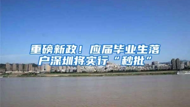 重磅新政！应届毕业生落户深圳将实行“秒批”