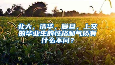 北大，清华，复旦，上交的毕业生的性格和气质有什么不同？