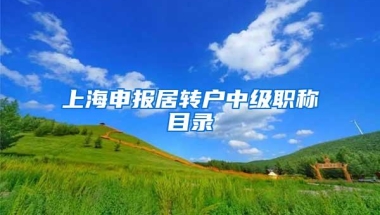 上海申报居转户中级职称目录