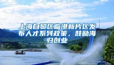 上海自贸区临港新片区发布人才系列政策，鼓励海归创业