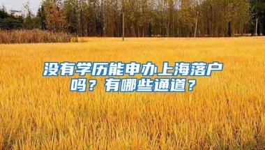 没有学历能申办上海落户吗？有哪些通道？