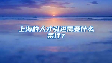 上海的人才引进需要什么条件？