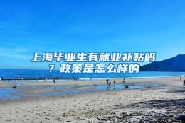 上海毕业生有就业补贴吗？政策是怎么样的