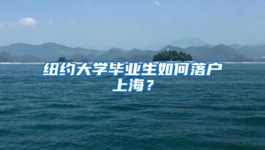 纽约大学毕业生如何落户上海？