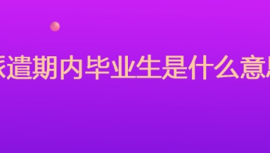 派遣期内毕业生是什么意思