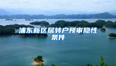 浦东新区居转户预审隐性条件