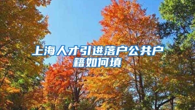 上海人才引进落户公共户籍如何填