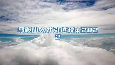 马鞍山人才引进政策2022