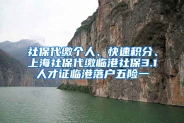 社保代缴个人、快速积分、上海社保代缴临港社保3.1人才证临港落户五险一