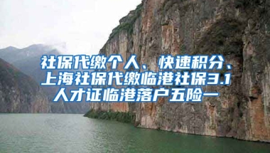 社保代缴个人、快速积分、上海社保代缴临港社保3.1人才证临港落户五险一