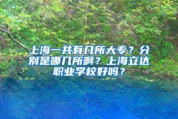 上海一共有几所大专？分别是哪几所啊？上海立达职业学校好吗？