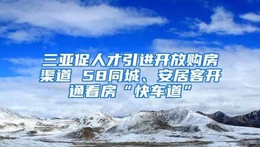 三亚促人才引进开放购房渠道 58同城、安居客开通看房“快车道”