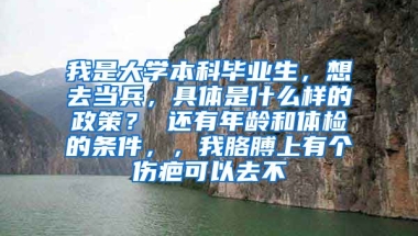 我是大学本科毕业生，想去当兵，具体是什么样的政策？ 还有年龄和体检的条件，，我胳膊上有个伤疤可以去不