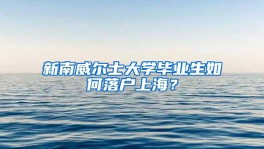 新南威尔士大学毕业生如何落户上海？