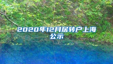 2020年12月居转户上海公示