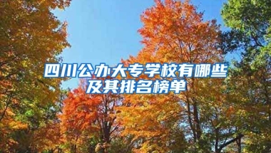 四川公办大专学校有哪些及其排名榜单