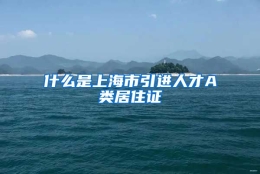 什么是上海市引进人才A类居住证