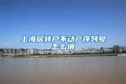 上海居转户不动产序列号怎么填