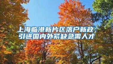 上海临港新片区落户新政：引进国内外紧缺急需人才