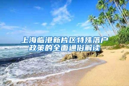 上海临港新片区特殊落户政策的全面通俗解读