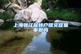 上海张江居转户提交容易审批吗