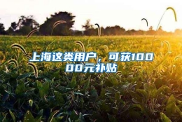 上海这类用户，可获10000元补贴