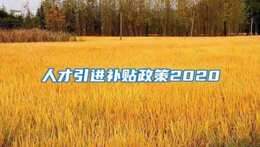 人才引进补贴政策2020