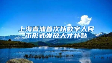 上海青浦首次以数字人民币形式发放人才补贴