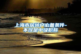 上海市居转户必备条件-不仅是中级职称